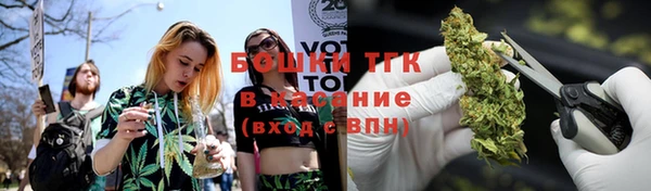 сатива Аркадак