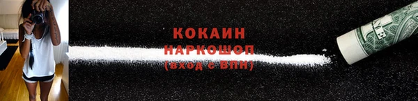 шишки Балахна