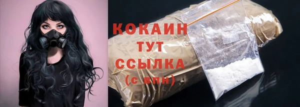 сатива Аркадак