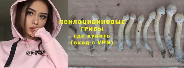 спиды Армянск