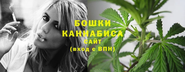 шишки Балахна