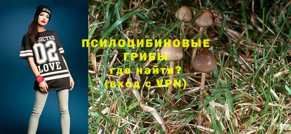 сатива Аркадак