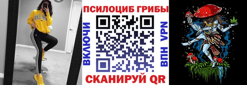 Псилоцибиновые грибы Cubensis  где продают наркотики  блэк спрут рабочий сайт  Долинск 